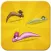 Rapid Worms