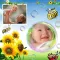 Baby Photo Collage