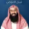 الشيخ نبيل العوضي