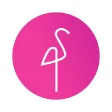 FlaminGo Agent