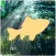 Flapping Fish