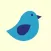 Bird Bubo