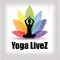 YogaLiveZ