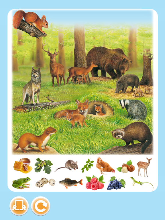 Imagerie animaux interactive iPad Screenshots
