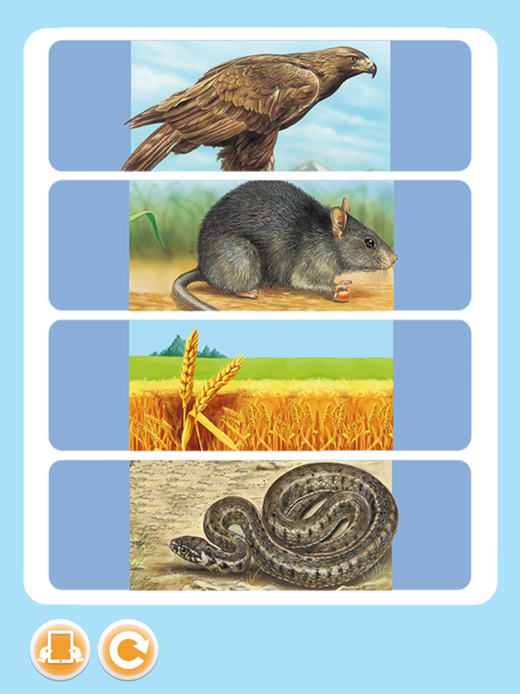 Imagerie animaux interactive iPad Screenshots
