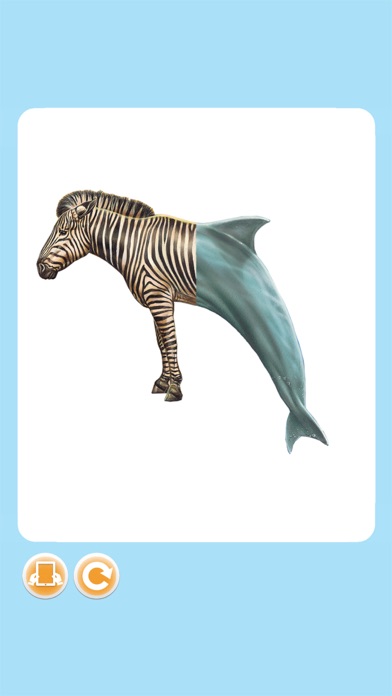 Imagerie animaux interactive Screenshots