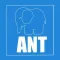 ANT attention test