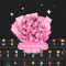 BloomBoard: Flower Language