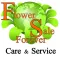 FlowerSale Care And Service