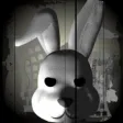 Rock Bunny
