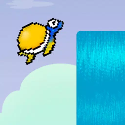 Timmy Turtle Timmy Turtle