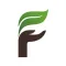 IconForest