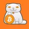 Bitcoin Guide