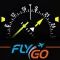 FlyGo HSI (IFR) Instructor