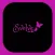 Evolve Fitness