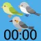 Wild bird Timer