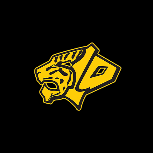 Tiger Teams