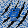 Hilliard Bradley Jaguars
