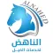 الناهض