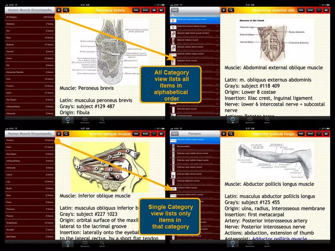 Human Muscle Encyclopedia Plus+ iPad Screenshots