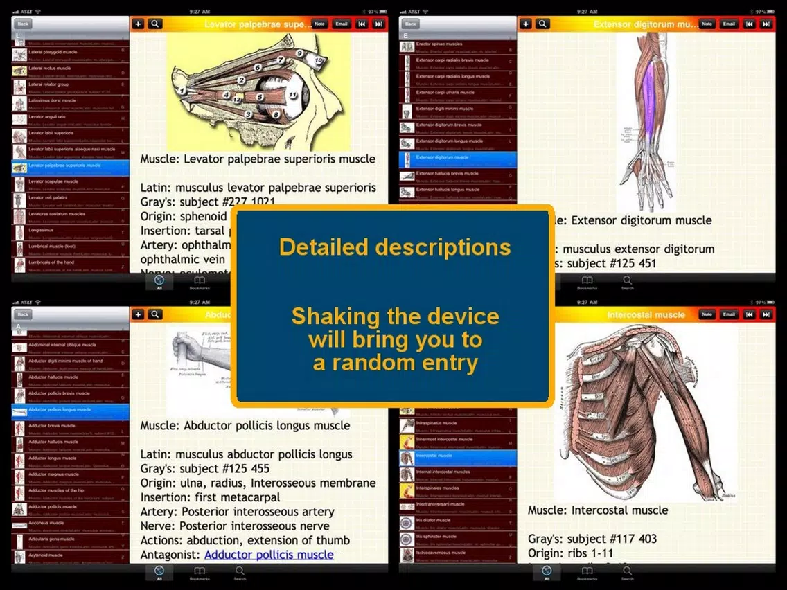 Human Muscle Encyclopedia Plus+ iPad Screenshots