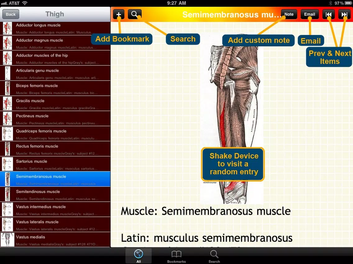 Human Muscle Encyclopedia Plus+ iPad Screenshots