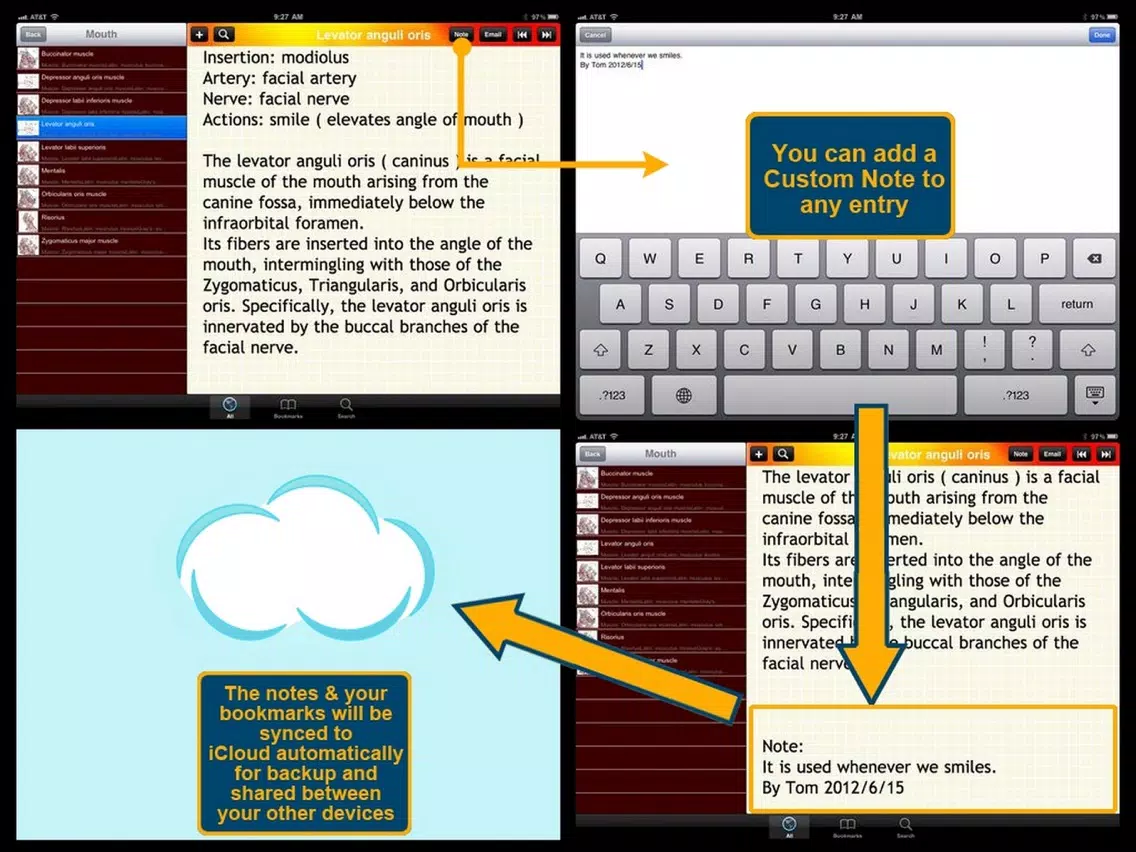 Human Muscle Encyclopedia Plus+ iPad Screenshots
