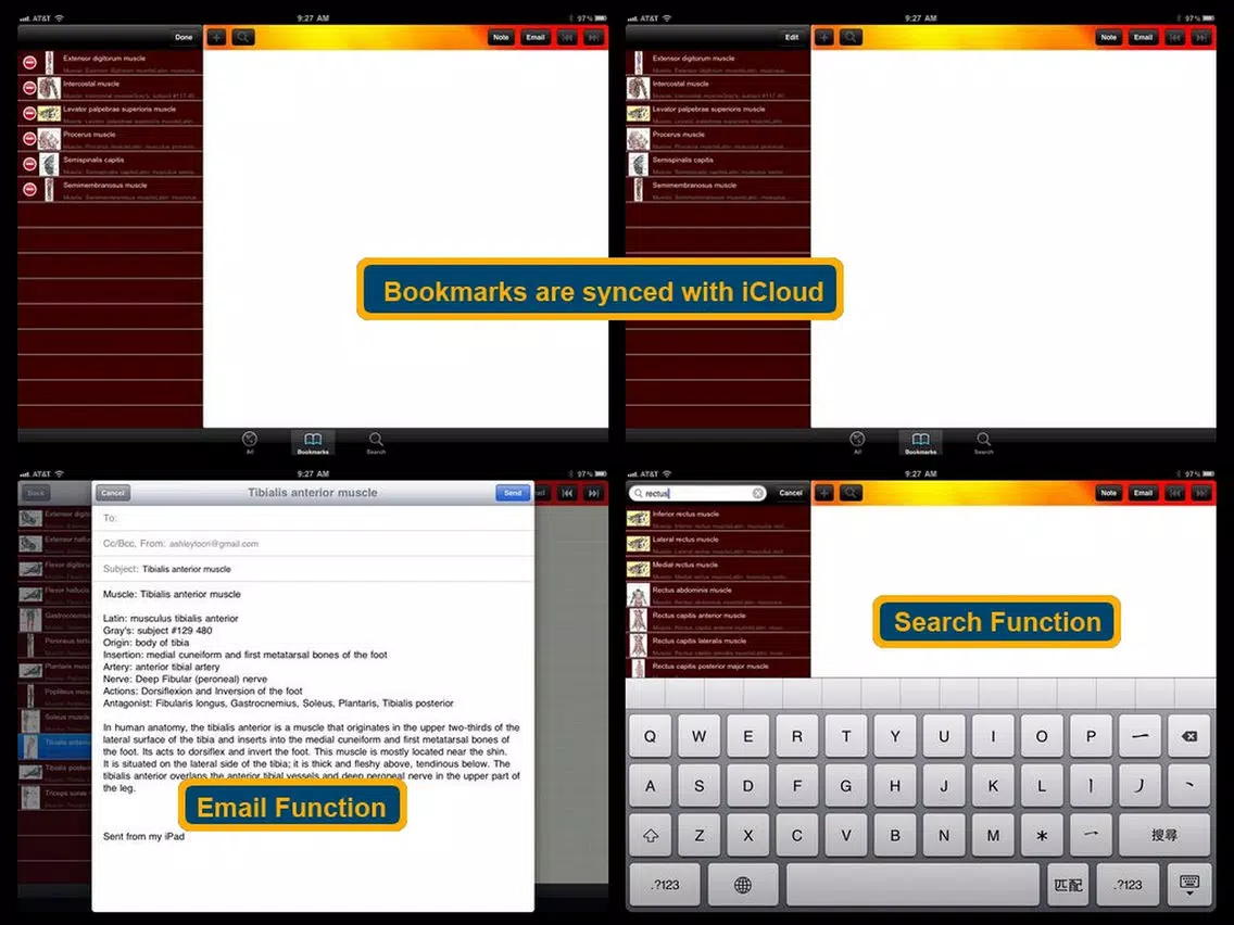 Human Muscle Encyclopedia Plus+ iPad Screenshots