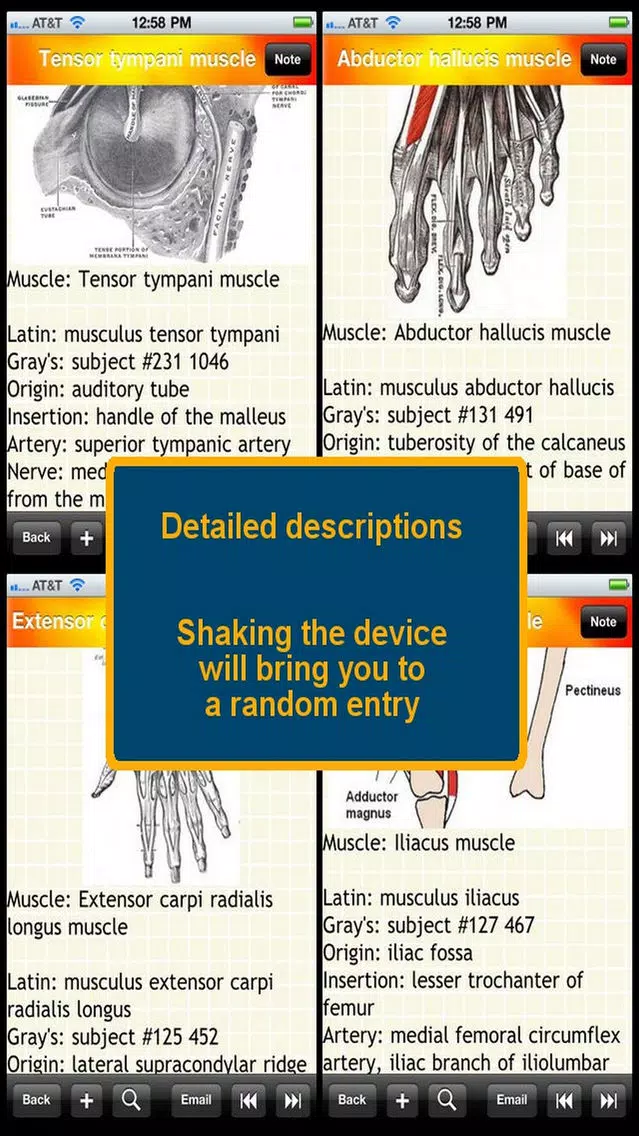Human Muscle Encyclopedia Plus+ Screenshots