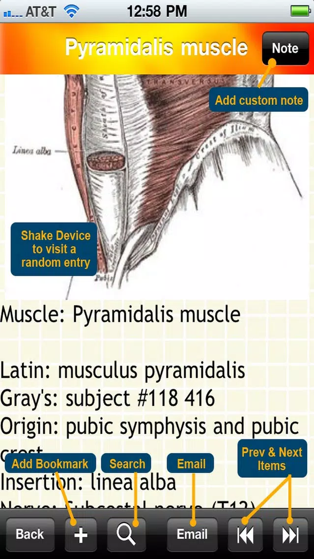 Human Muscle Encyclopedia Plus+ Screenshots