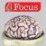 NEUROANATOMY - Digital Anatomy