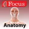 Junior Anatomy Atlas