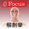 人体解剖和生理学