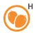 Huerta - Mango