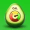 Calo: AI Food Calorie Counter