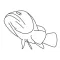 Grouper Feed