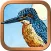 Animal Totem Tarot