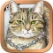 Mystical Cats Tarot