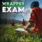 Football Written Wrapper Exam