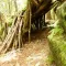 Survive! - Prepper Study Aids