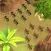 Battle Colony