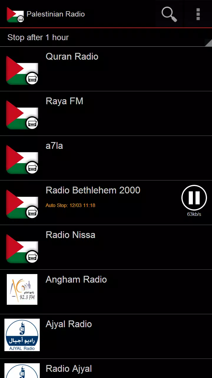 Palestinian Radio Screenshots