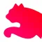 Formation Puma