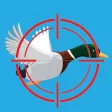 Duck Hunt: Duck Shooting Game