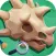 Fossil Gatherer
