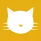 CatLitter - Daily dose of cats