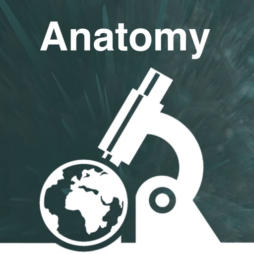 Anatomy Final Anatomy Final