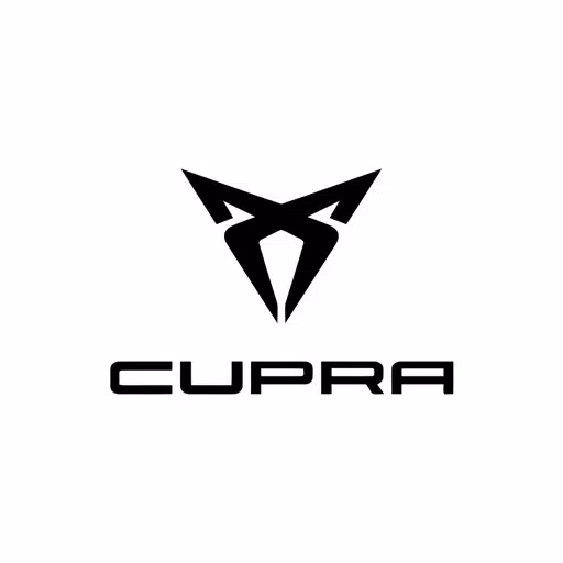 Cupra Taller en Linea Cupra Taller en Linea