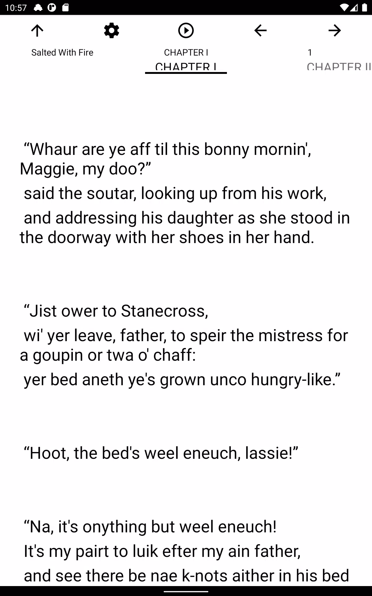 Book, Salted With Fire Screenshots
