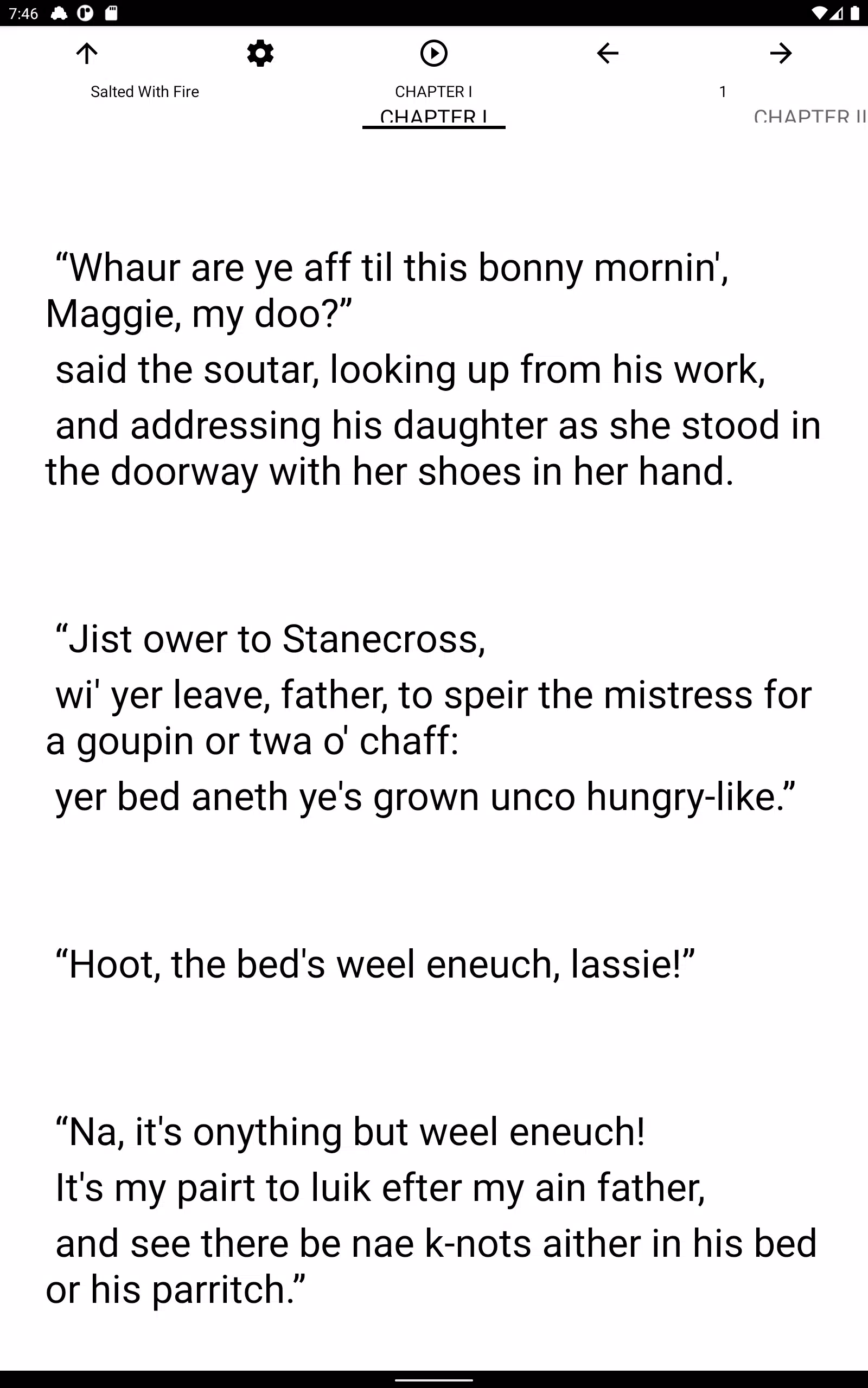 Book, Salted With Fire Screenshots